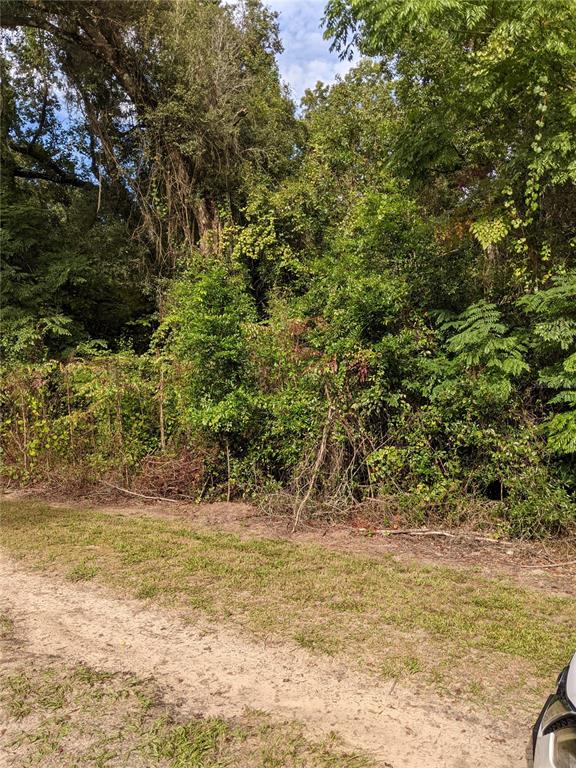 Tbd Southeast 62nd Avenue Summerfield, FL 34491 - Photo 1 of 1 a view of a lake view