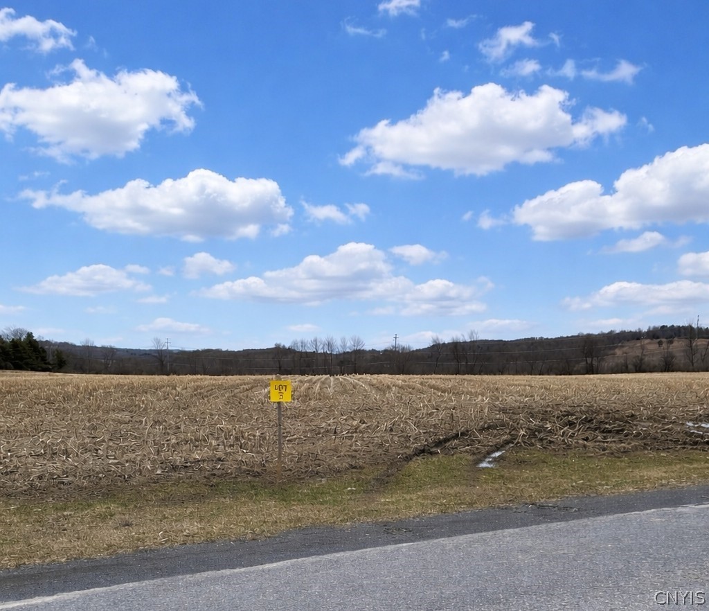 0 Skinner Road Little Falls, NY 13365 - Photo 1 of 1 Gallery Image 1