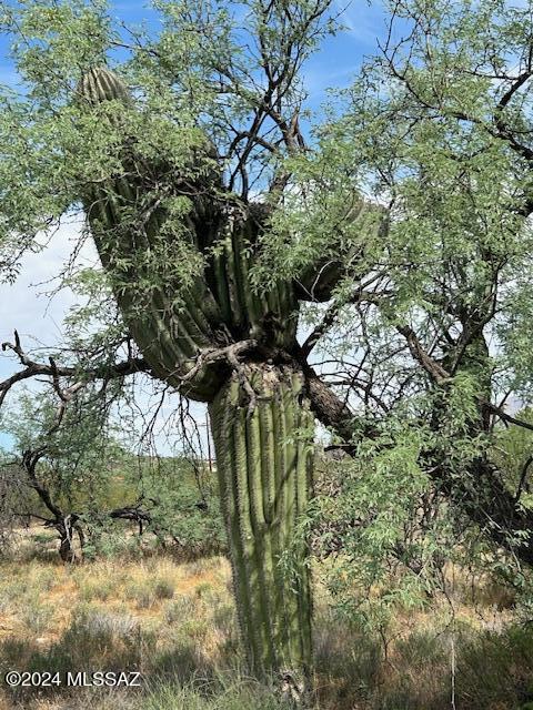 0 East Prince Road Tucson, AZ 85750 - Photo 30 of 32