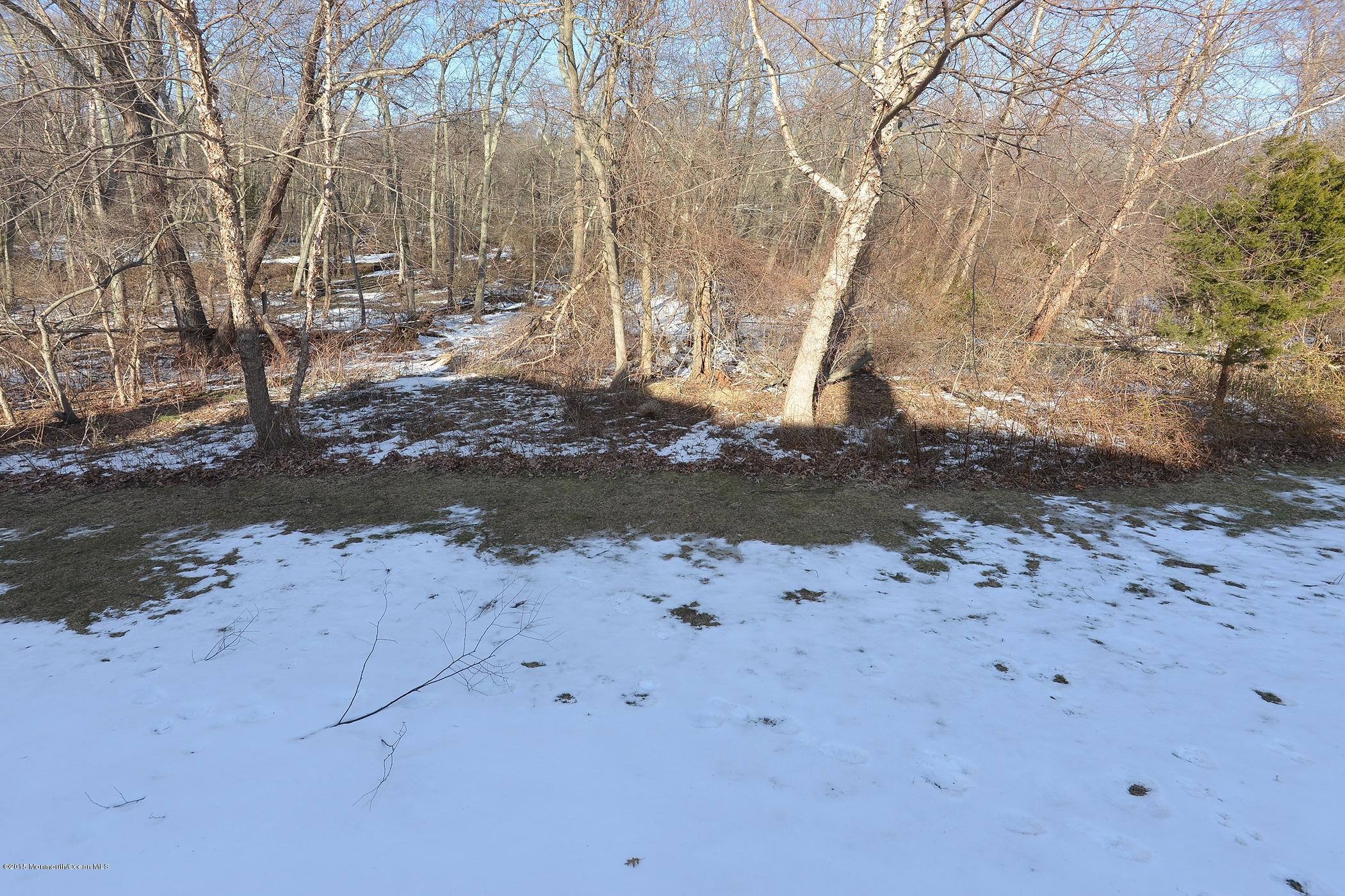 81 Racquet Road Wall, NJ 07719 - Photo 28 of 28 Rear of deck view