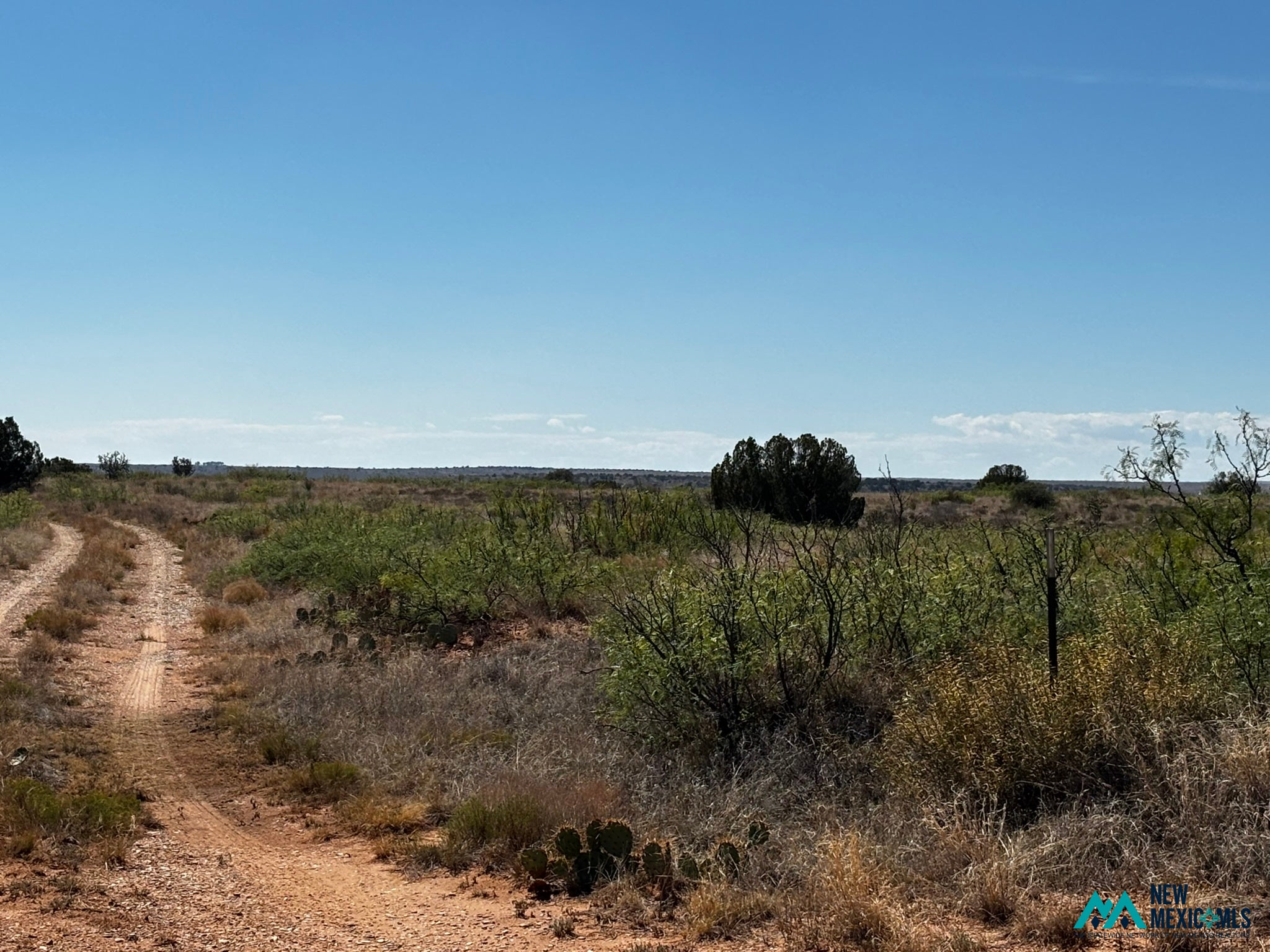 0 Sunset Rd Lake, Unit 75 Fort Sumner, NM 88119 - Photo 9 of 9 Gallery Image 9