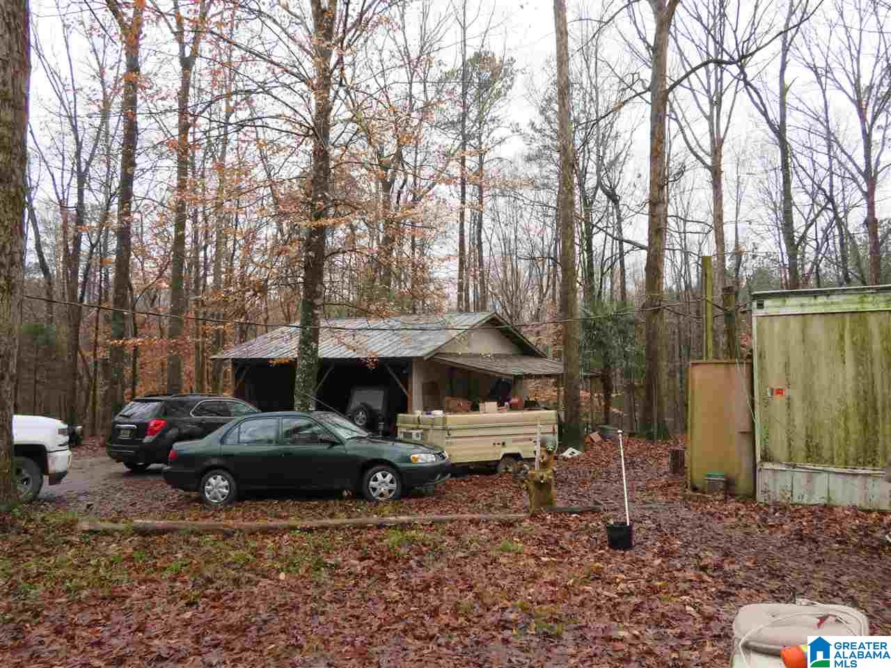 138 Cedar Grove Road West Blocton, AL 35184 - Photo 3 of 44