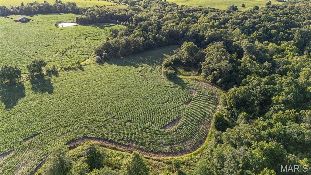 0 Gentry Road Monroe City, MO 63456 - Photo 16 of 19