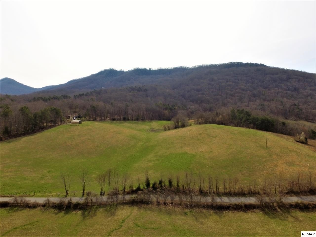 685 Thomas Loop Road Sevierville, TN 37876 - Photo 11 of 18 a view of a lake with mountains in the background