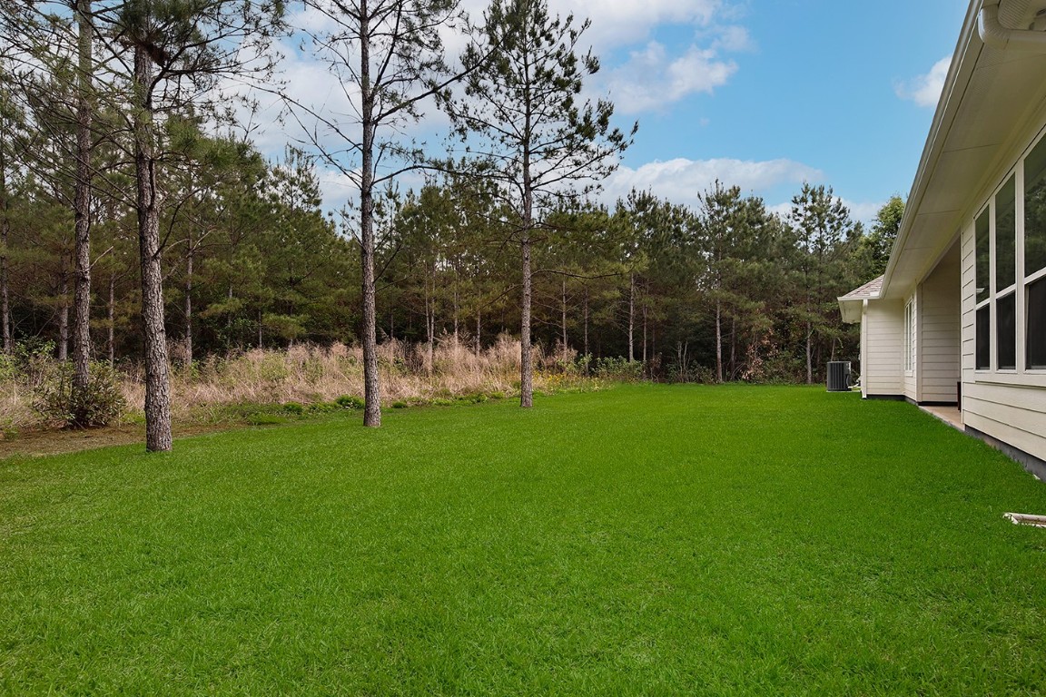 11709 Grand N Road Willis, TX 77378 - Photo 30 of 37 One acre lot is surrounded by trees with ample lawn space for anything you desire.