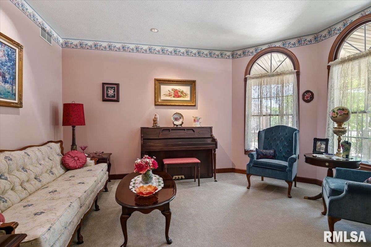 49 Woodland Trail Rochester, IL 62563 - Photo 10 of 98