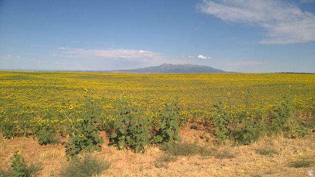 1251 South Eastland Road Monticello, UT 84535 - Photo 57 of 63