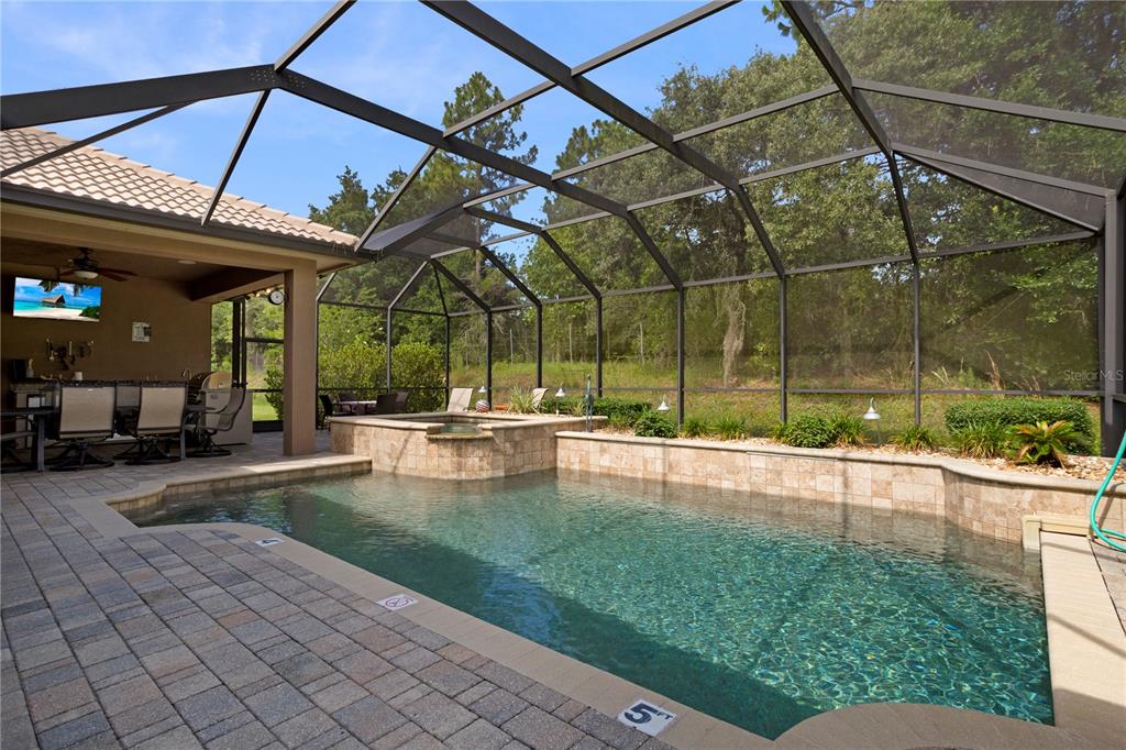 6656 Southwest 179th Ave Road Dunnellon, FL 34432 - Photo 2 of 43 a view of a swimming pool with a patio
