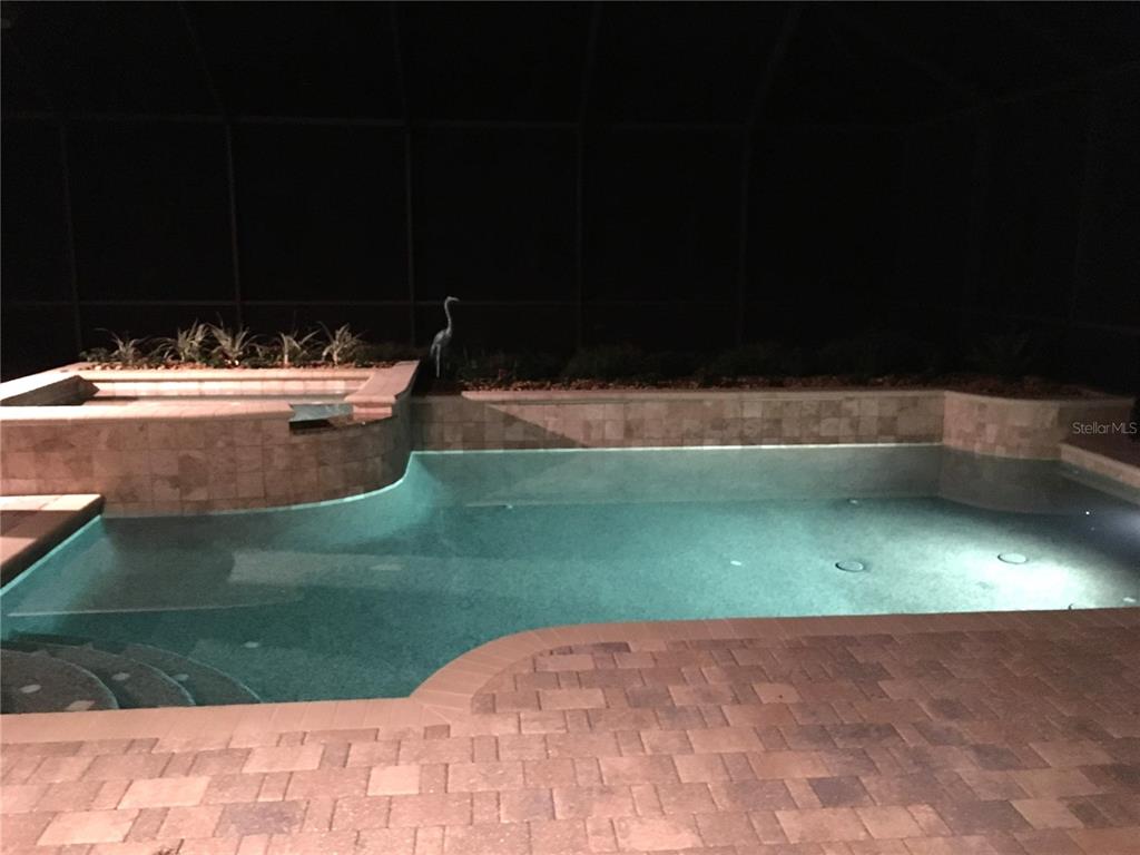 6656 Southwest 179th Ave Road Dunnellon, FL 34432 - Photo 38 of 43 a view of swimming pool with a yard