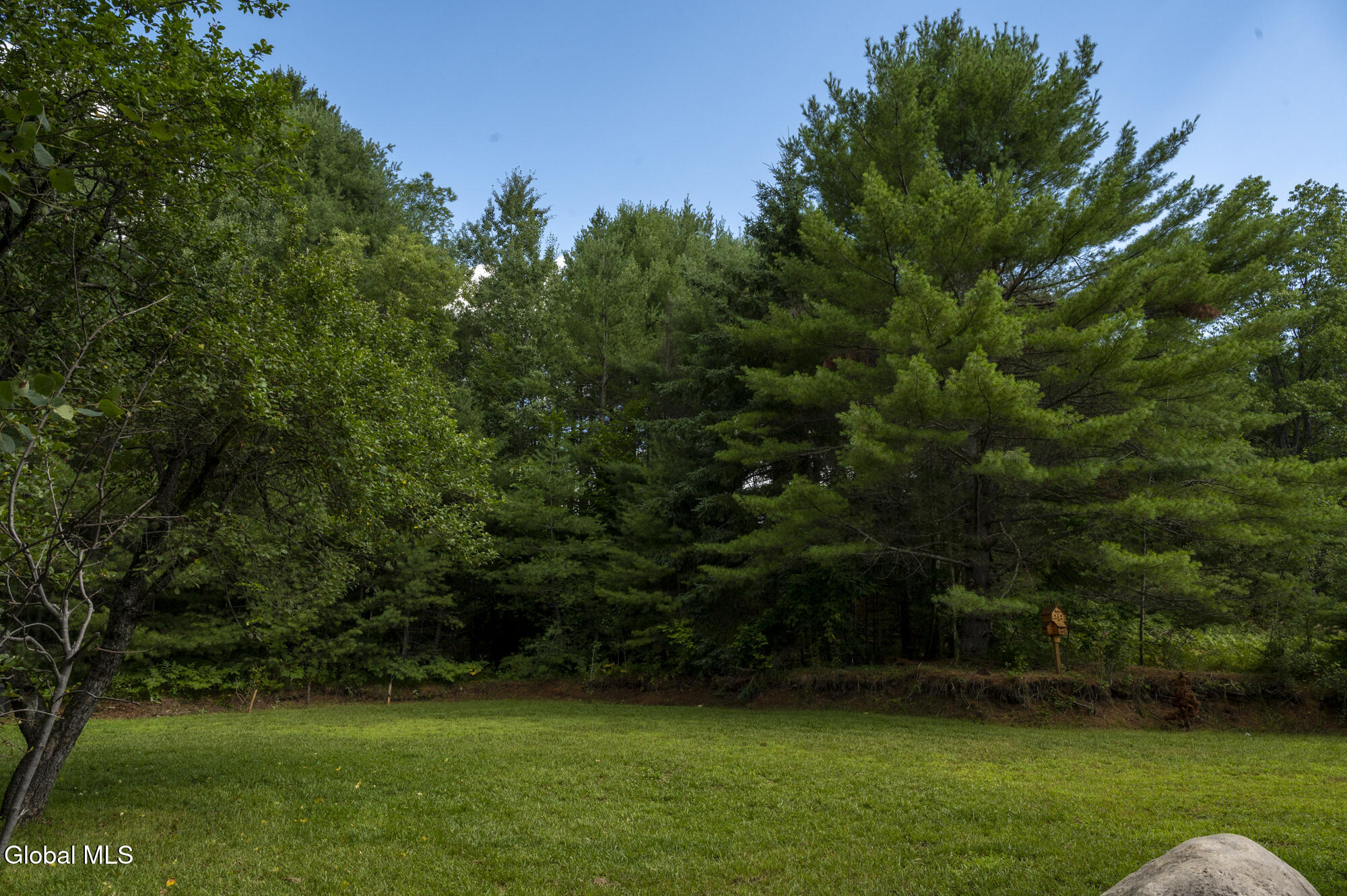 2647 Garnet Lake Road Johnsburg, NY 12843 - Photo 20 of 23 peter 31 _DSC5676