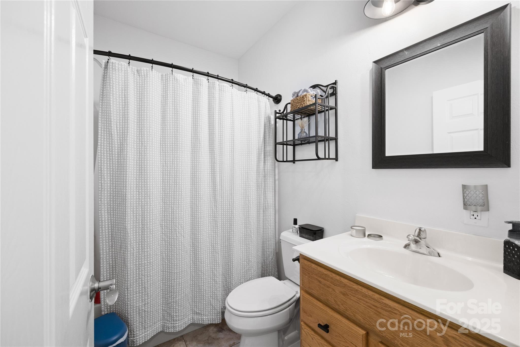 1308 Bell Mountain Road Zirconia, NC 28790 - Photo 15 of 42 a bathroom with a sink a toilet and a mirror