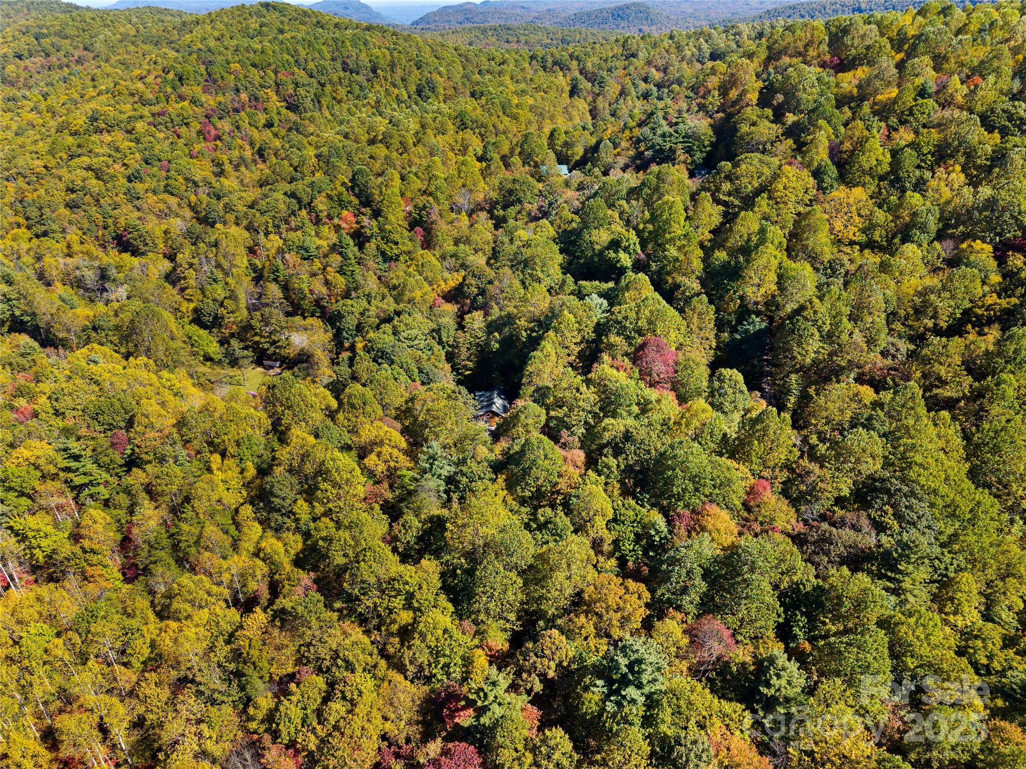 1308 Bell Mountain Road Zirconia, NC 28790 - Photo 38 of 42 a view of a field