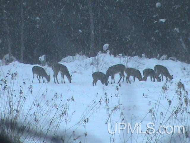 Tbd Irwin Road Baraga, MI 49908 - Photo 8 of 27