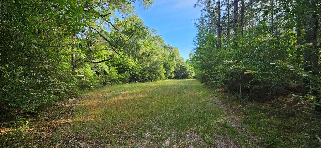 0 Case Road Slocomb, AL 36375 - Photo 18 of 18