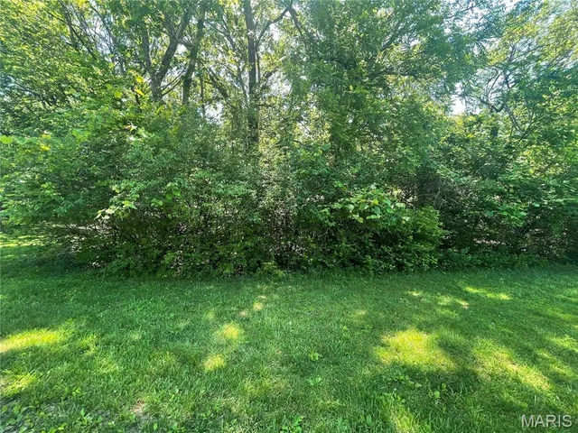 $13,000 | 2016 Las Brisas Lane, Pacific, MO 63069