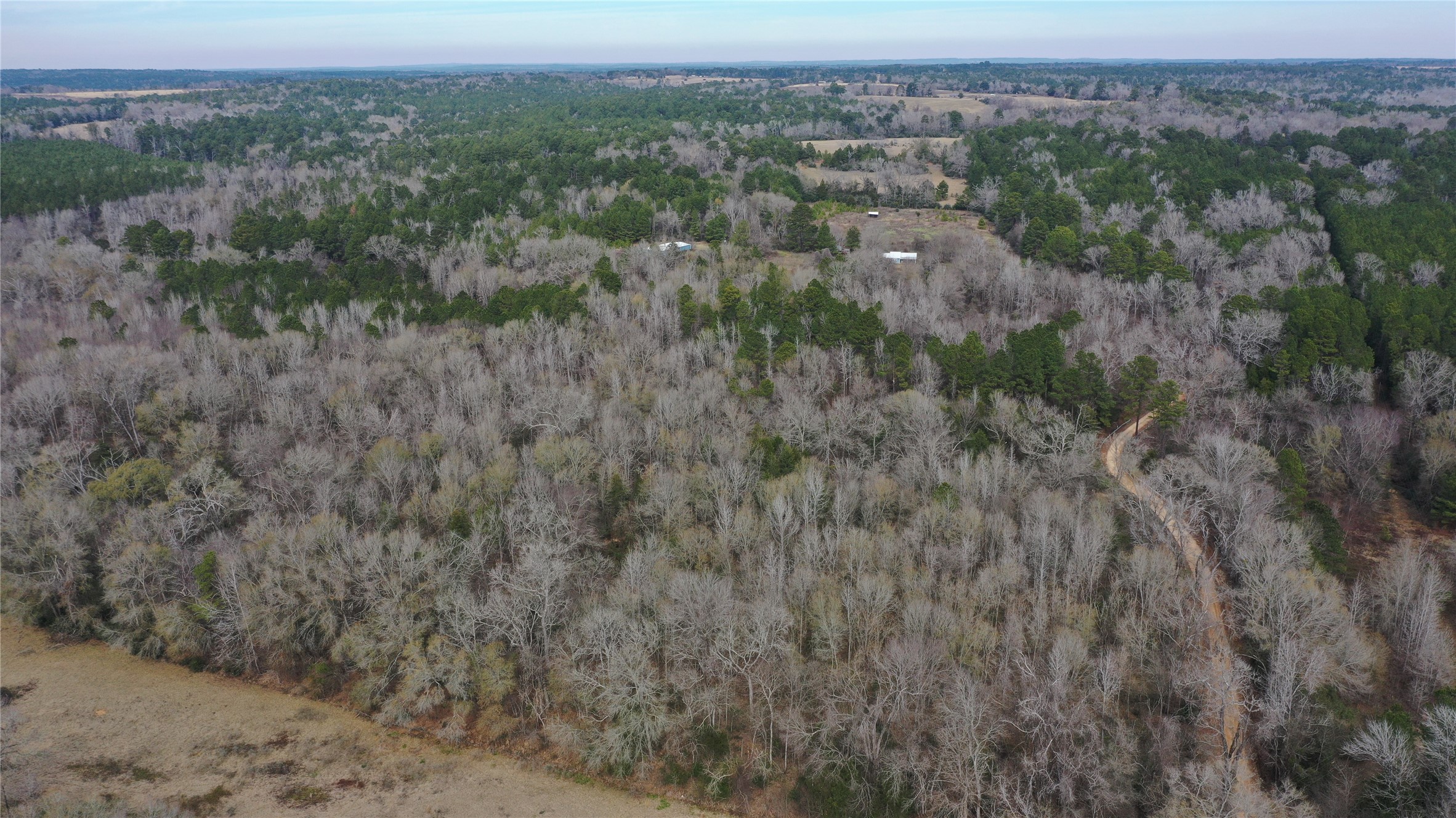 3 County Road 2240 Grapeland, TX 75844 - Photo 2 of 11 a view of a city with lush green forest