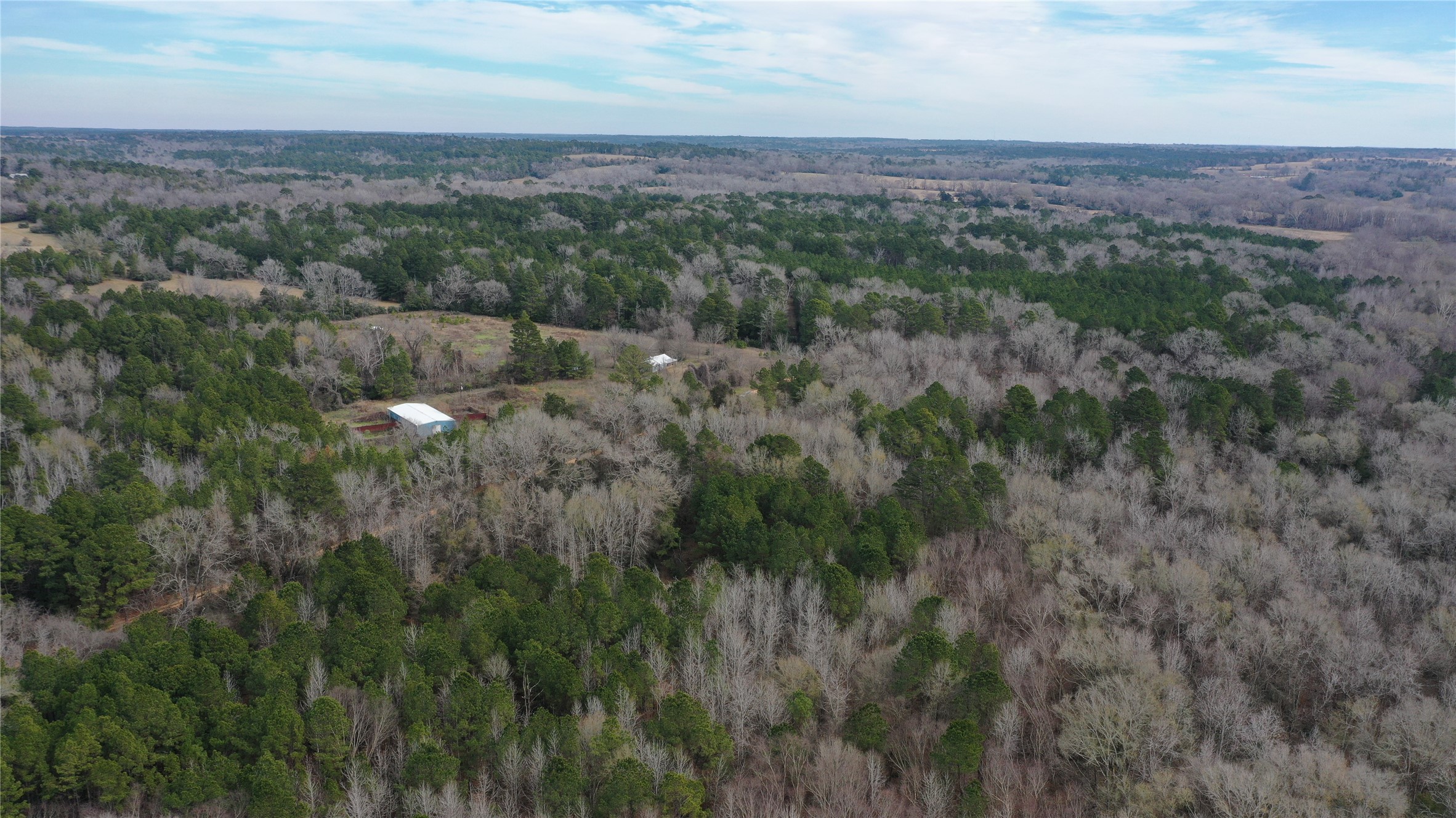 3 County Road 2240 Grapeland, TX 75844 - Photo 8 of 11 a view of a city with lush green forest