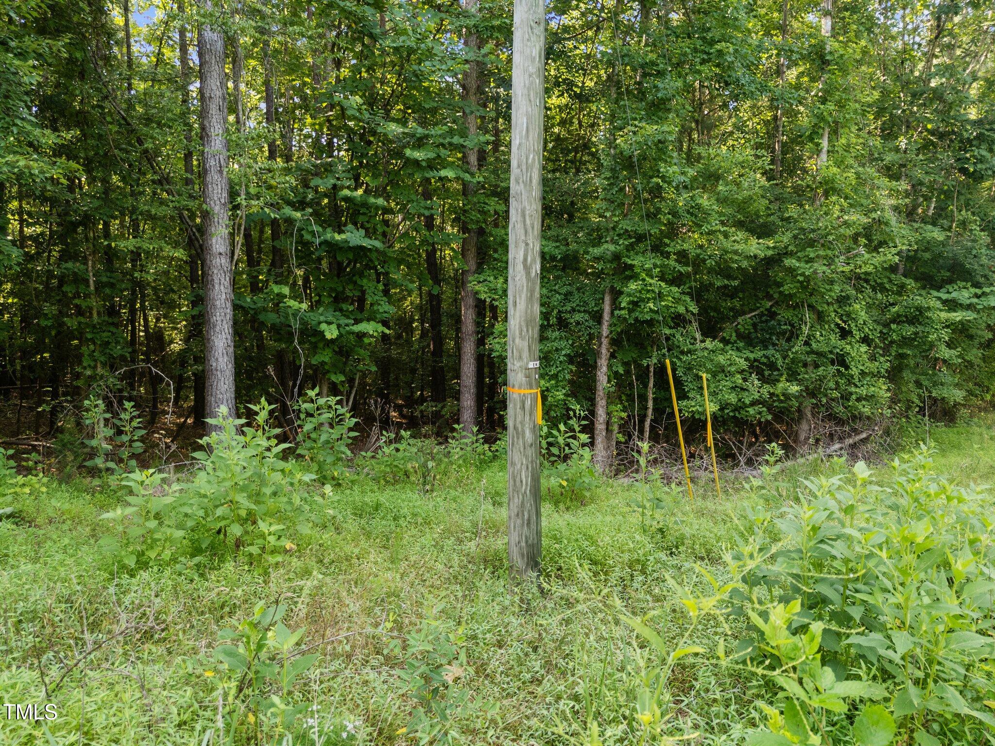 4688 Dorsey Road Oxford, NC 27565 - Photo 21 of 28 60' Easement