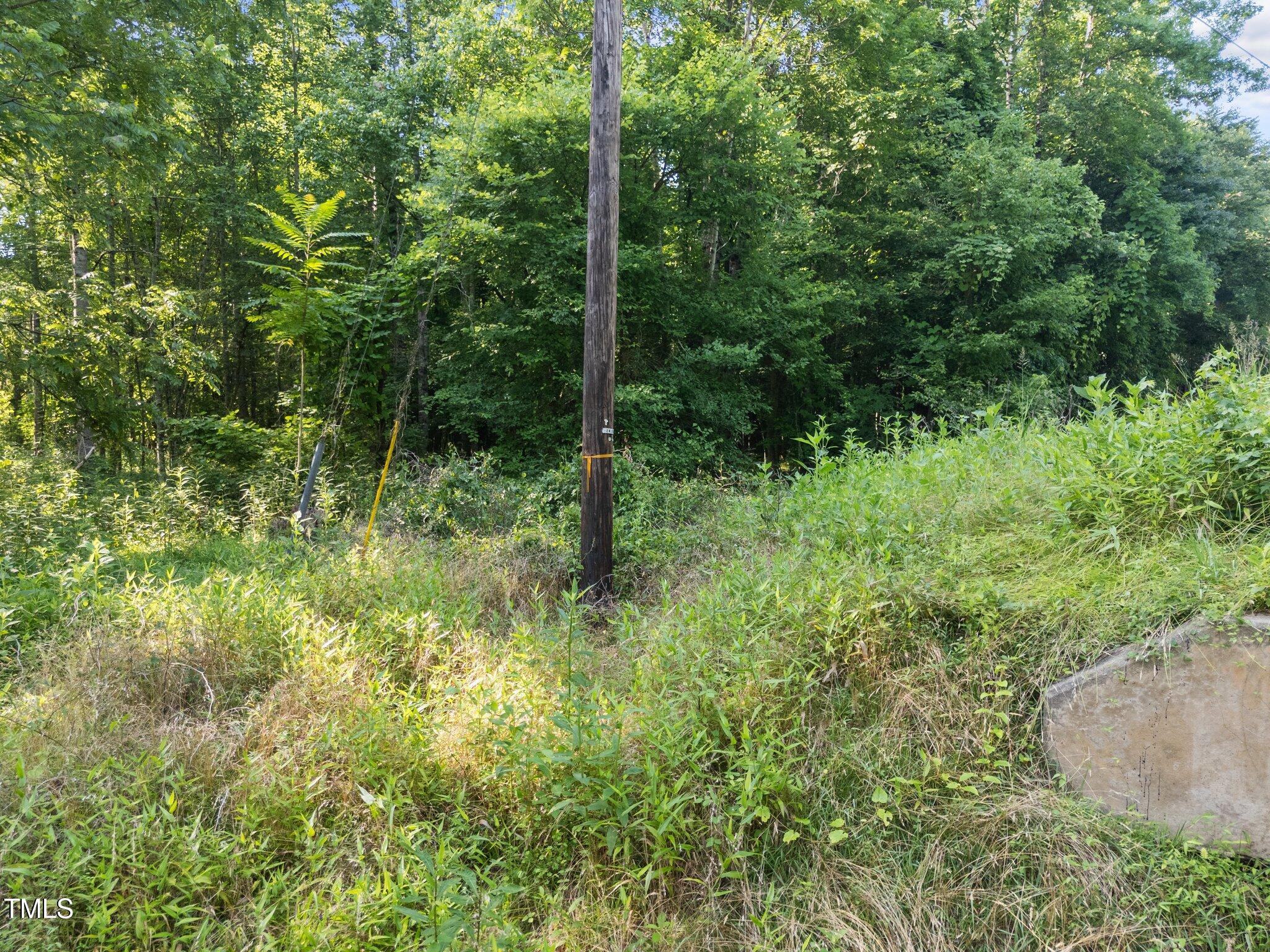4688 Dorsey Road Oxford, NC 27565 - Photo 27 of 28 Survey mark on pole