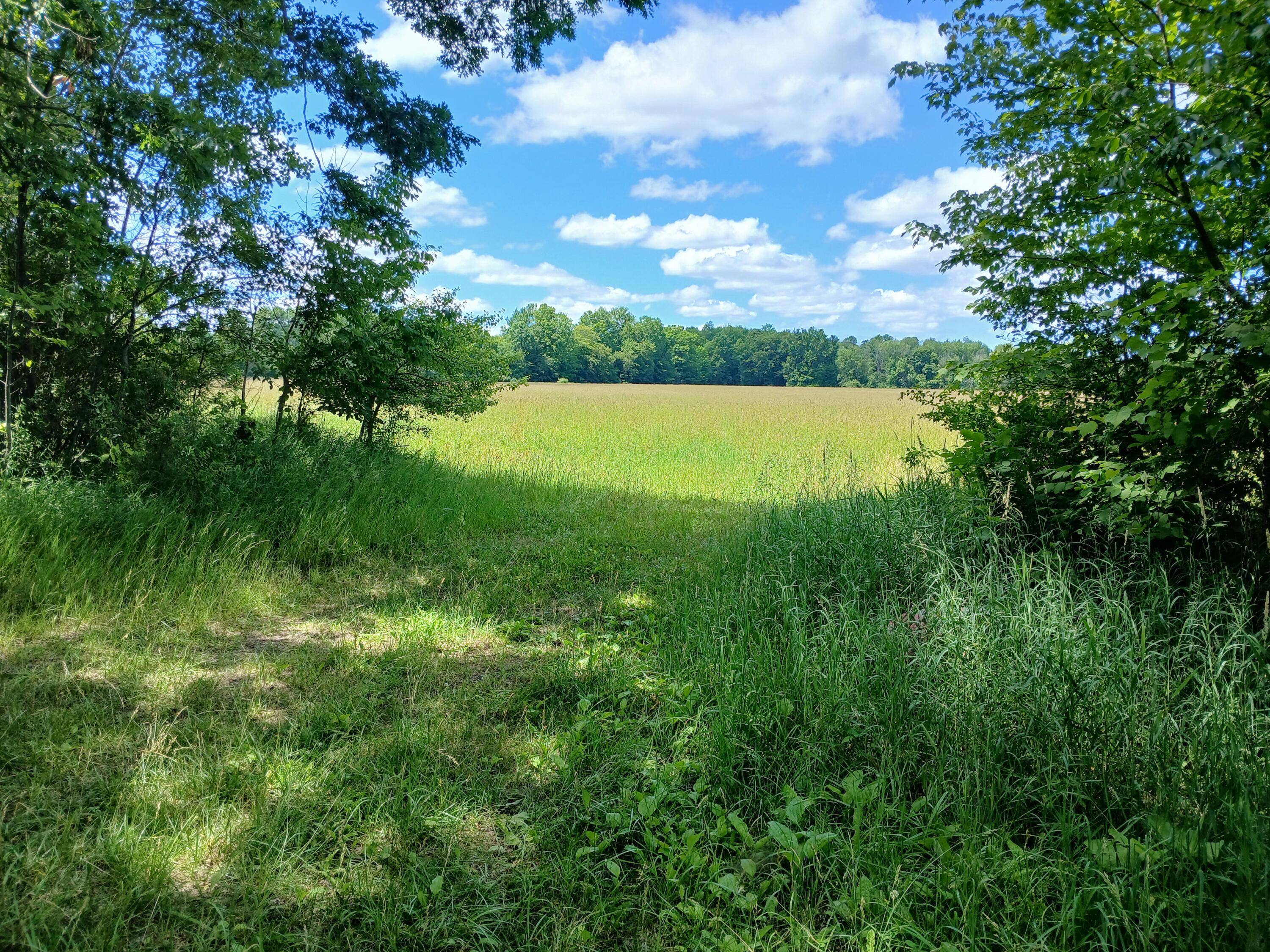 20 South Stephens Road Custer, MI 49405 - Photo 1 of 9 20A N Stephens Rd