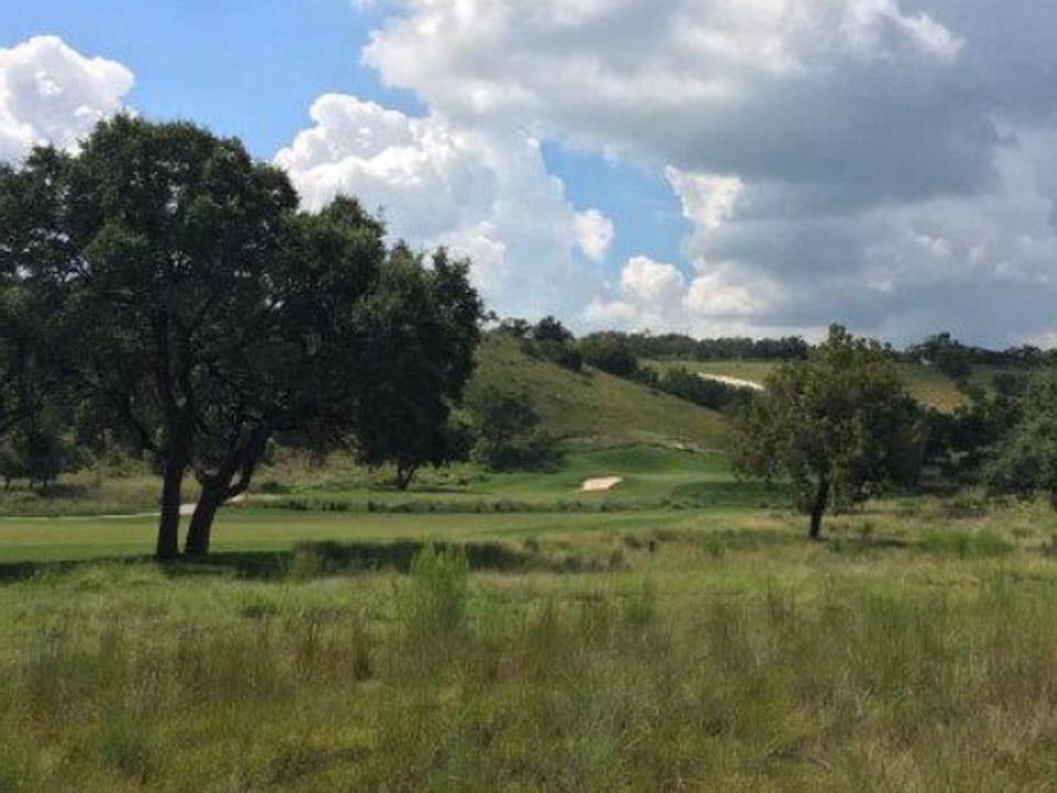 a view of grassy field with trees