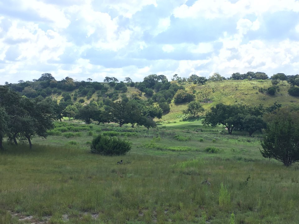 72 Boot Ranch Circle, Unit 72 Fredericksburg, TX 78624 - Photo 3 of 5 a view of a green field with lots of trees