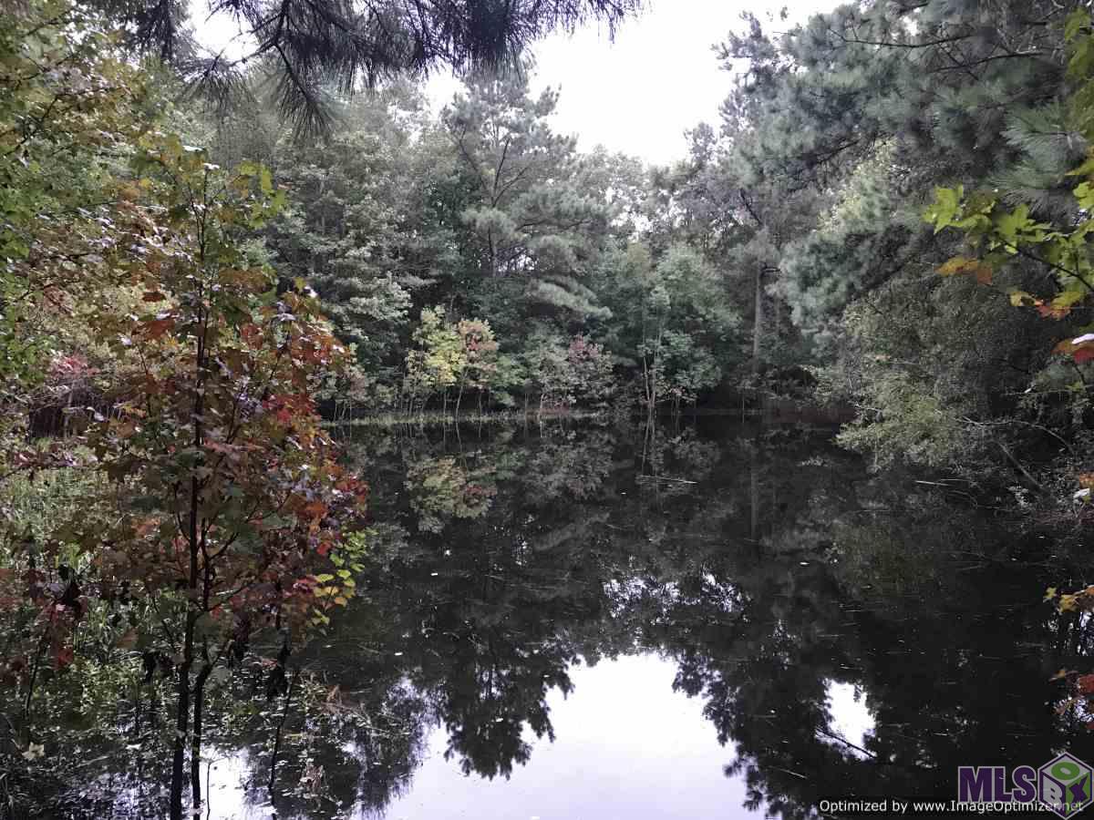 2145 B Midway Road Wesson, MS 39191 - Photo 1 of 24