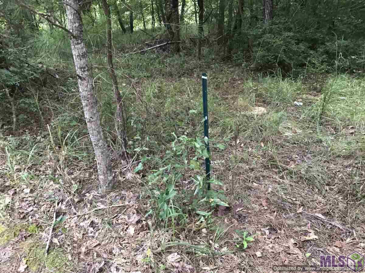 2145 B Midway Road Wesson, MS 39191 - Photo 3 of 24