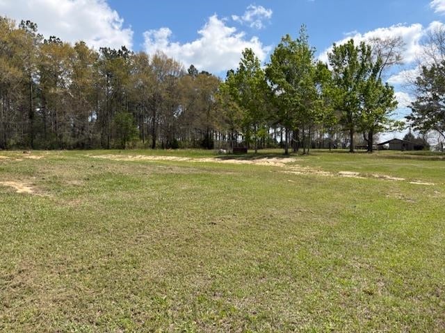 20648 Old Salt Road Andalusia, AL 36420 - Photo 24 of 29 Gallery Image 24