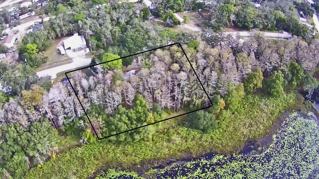 9867 Jerome Drive New Port Richey, FL 34654 - Photo 2 of 30