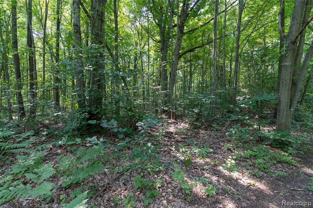 14405 Rawsonville Road Willis, MI 48191 - Photo 25 of 40 Gallery Image 25