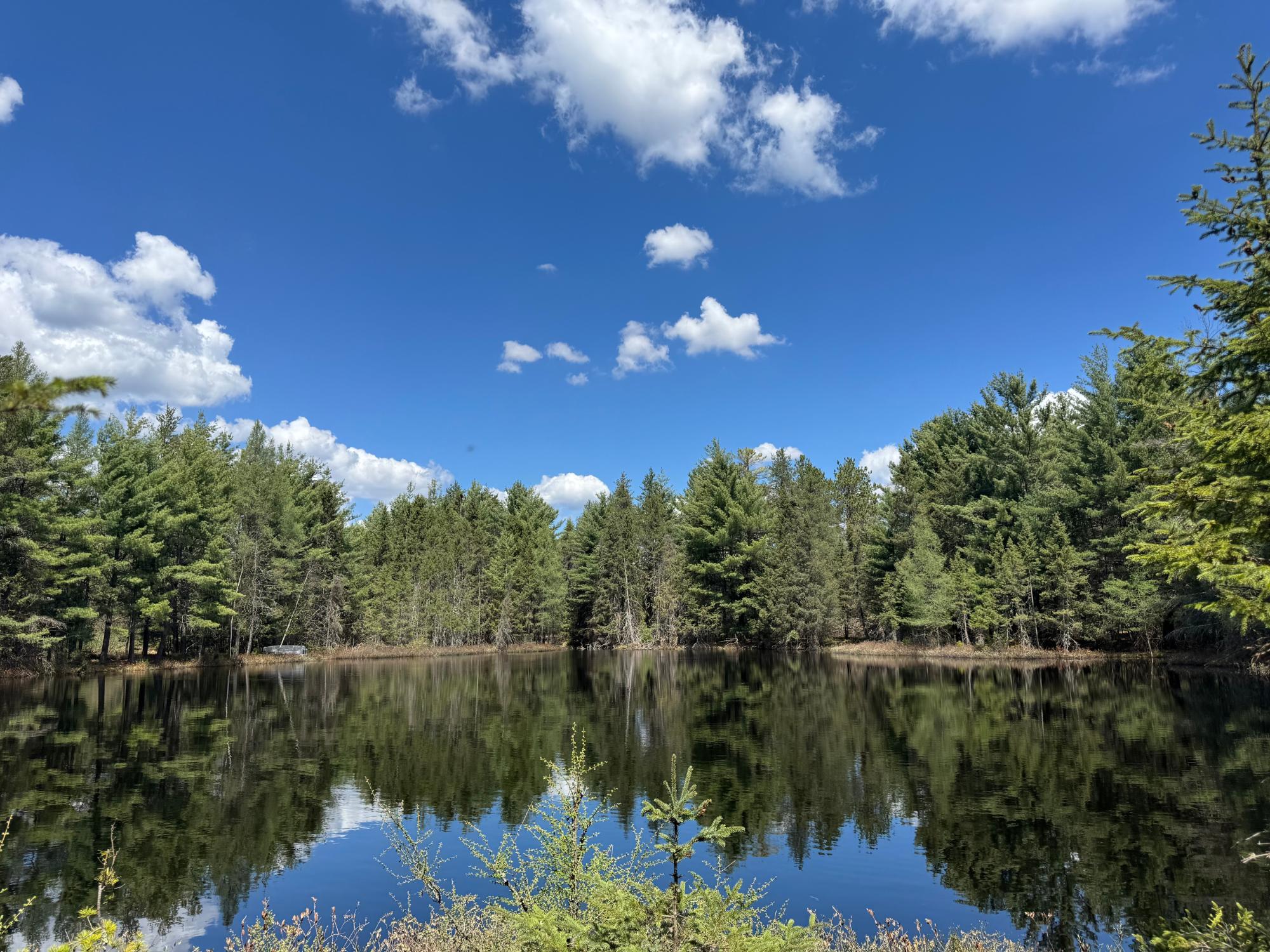8522 Camp Pinemere Road Minocqua, WI 54548 - Photo 14 of 25 Gallery Image 14