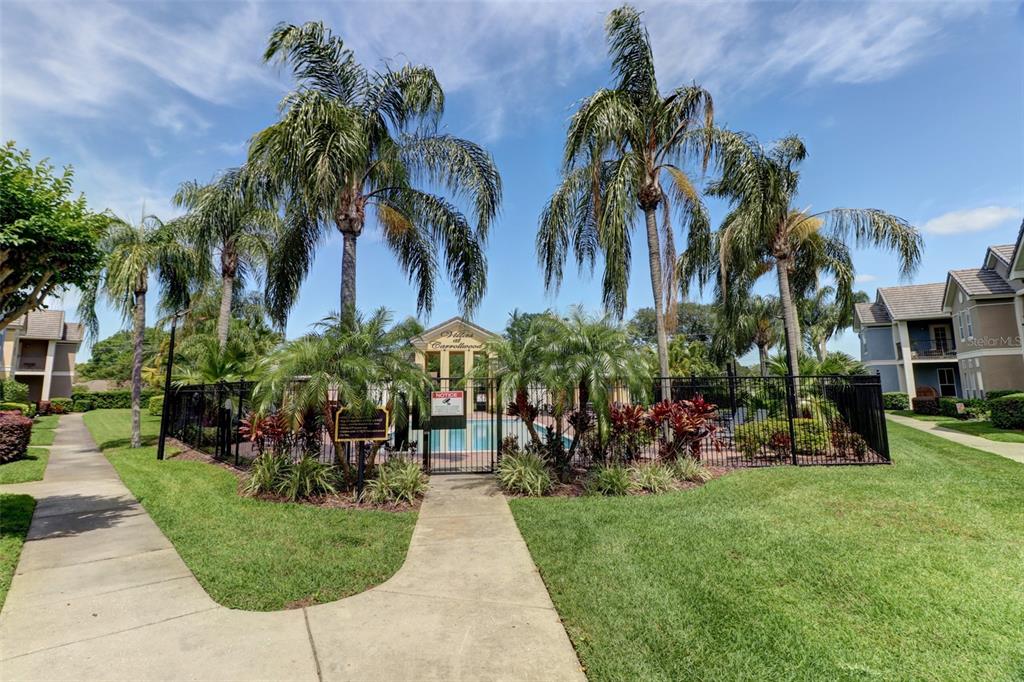 4004 Foxtail Palm Court, Unit 4004 Tampa, FL 33624 - Photo 39 of 49 a view of a yard with a fountain