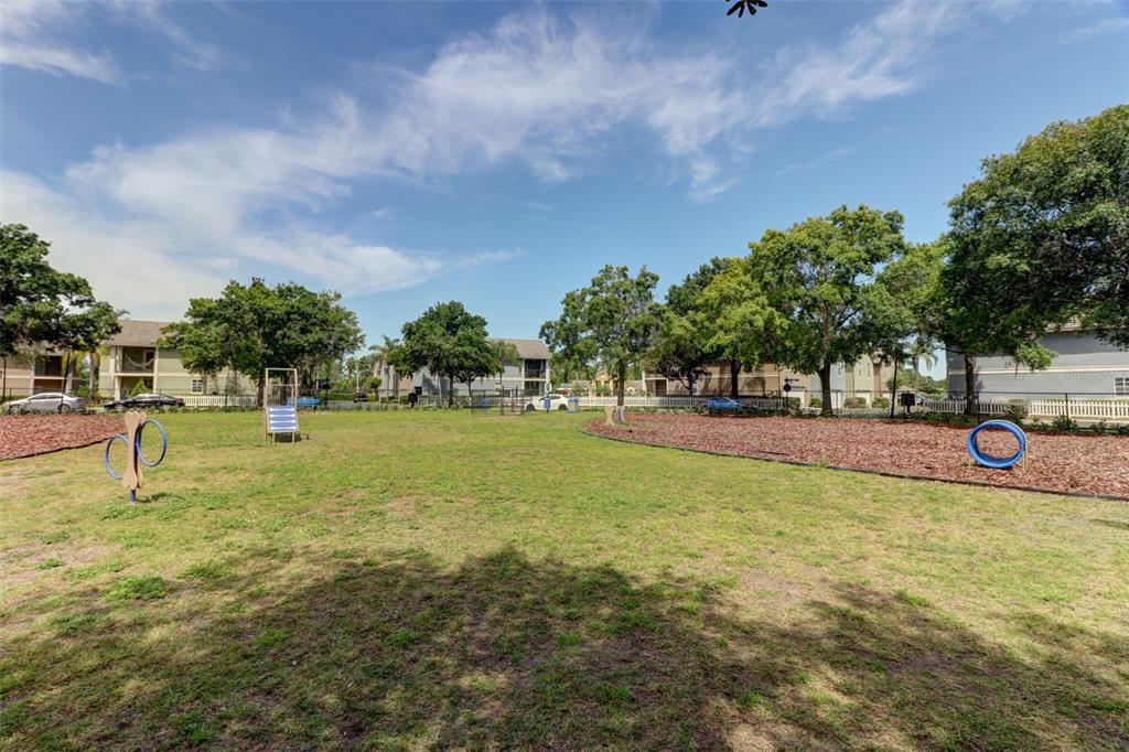 4004 Foxtail Palm Court, Unit 4004 Tampa, FL 33624 - Photo 47 of 49 a park with lots of trees and buildings in the background
