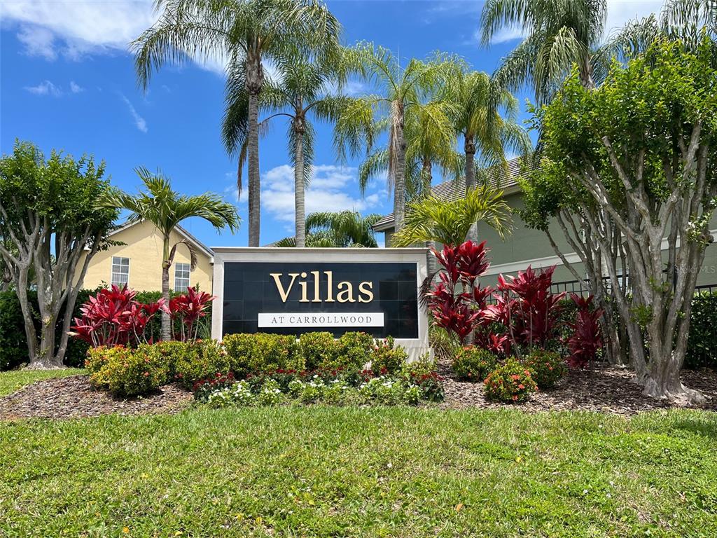 4004 Foxtail Palm Court, Unit 4004 Tampa, FL 33624 - Photo 49 of 49 a view of front of a house with a tree and garden