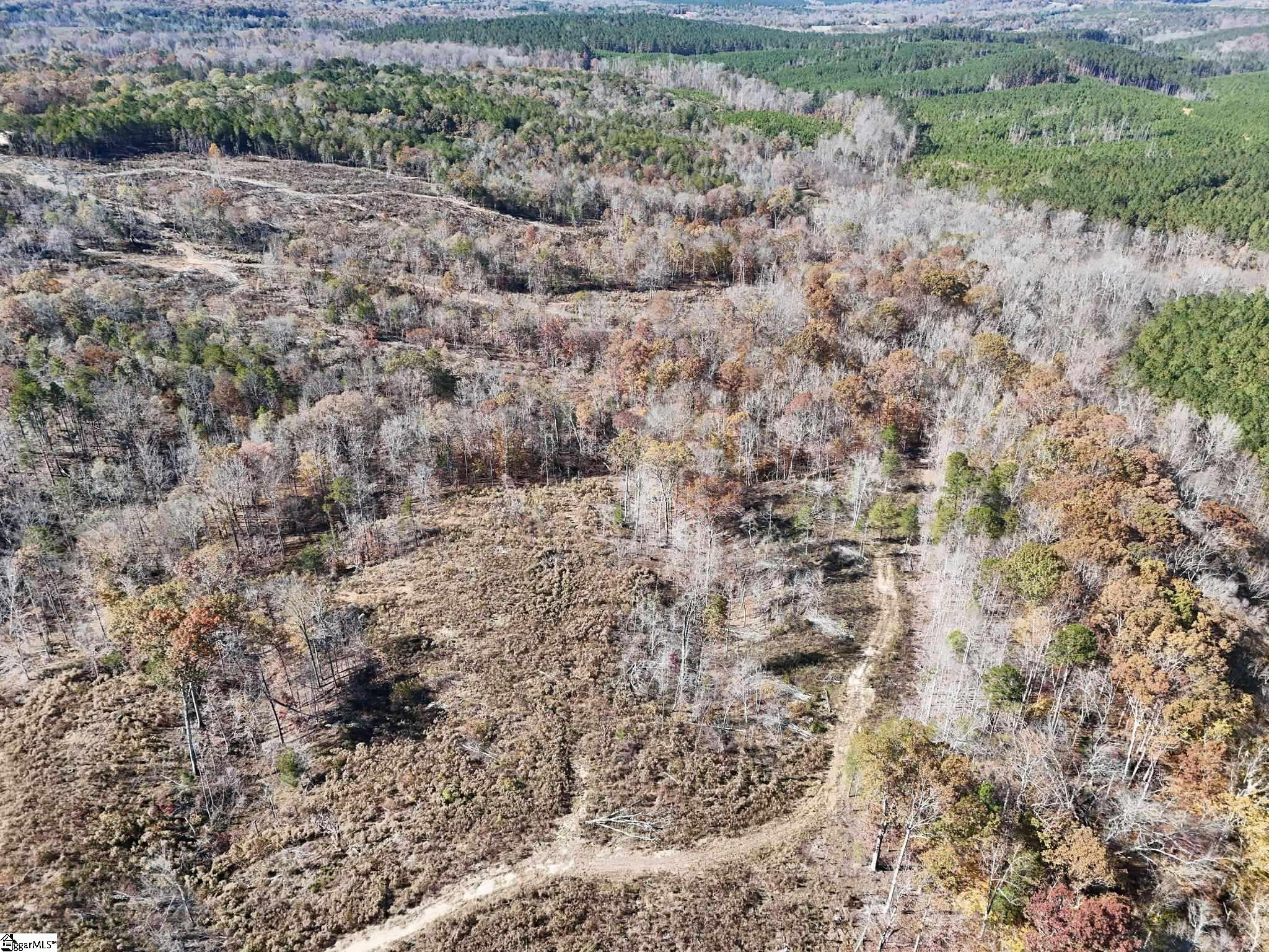Howell Road Jonesville, SC 29353 - Photo 11 of 13 Gallery Image 11