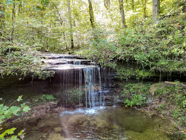 $1,100,000 | 1495 Trace Creek Road, Hohenwald, TN 38462