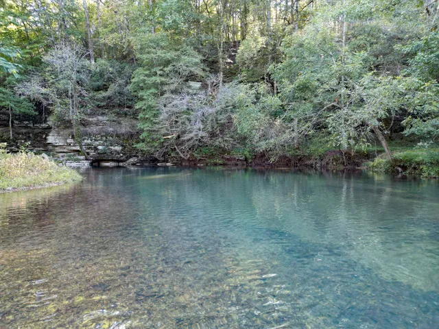 $1,100,000 | 1495 Trace Creek Road, Hohenwald, TN 38462