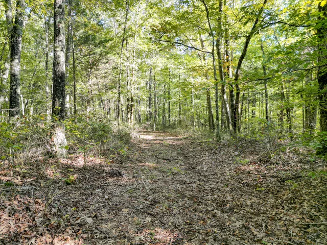 $1,100,000 | 1495 Trace Creek Road, Hohenwald, TN 38462