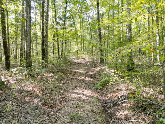 $1,100,000 | 1495 Trace Creek Road, Hohenwald, TN 38462