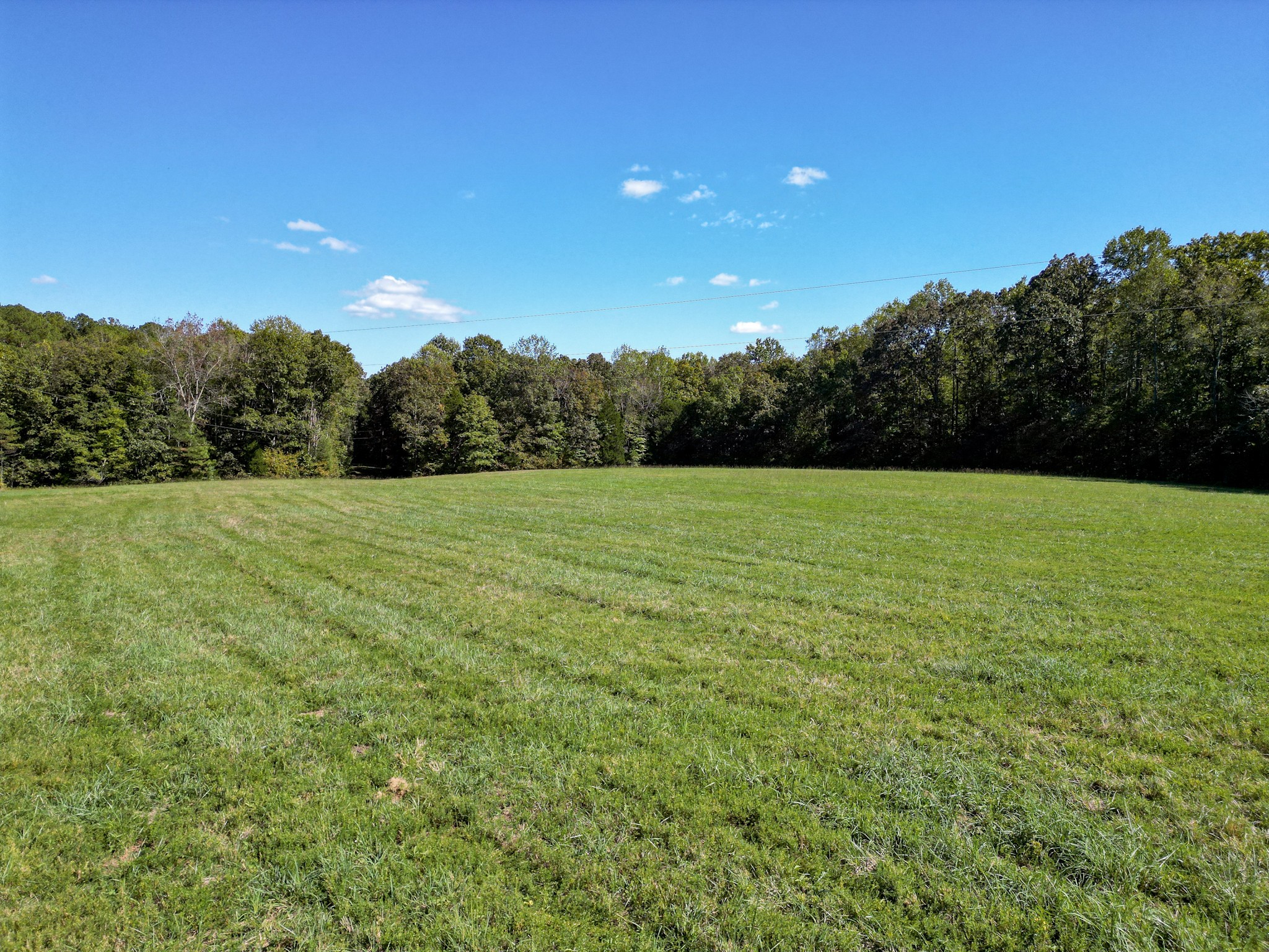 1495 Trace Creek Road Hohenwald, TN 38462 - Photo 18 of 28