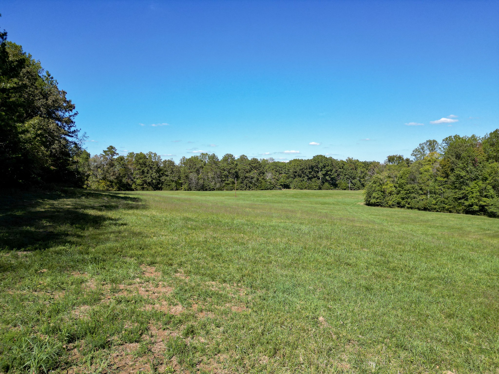 1495 Trace Creek Road Hohenwald, TN 38462 - Photo 22 of 28