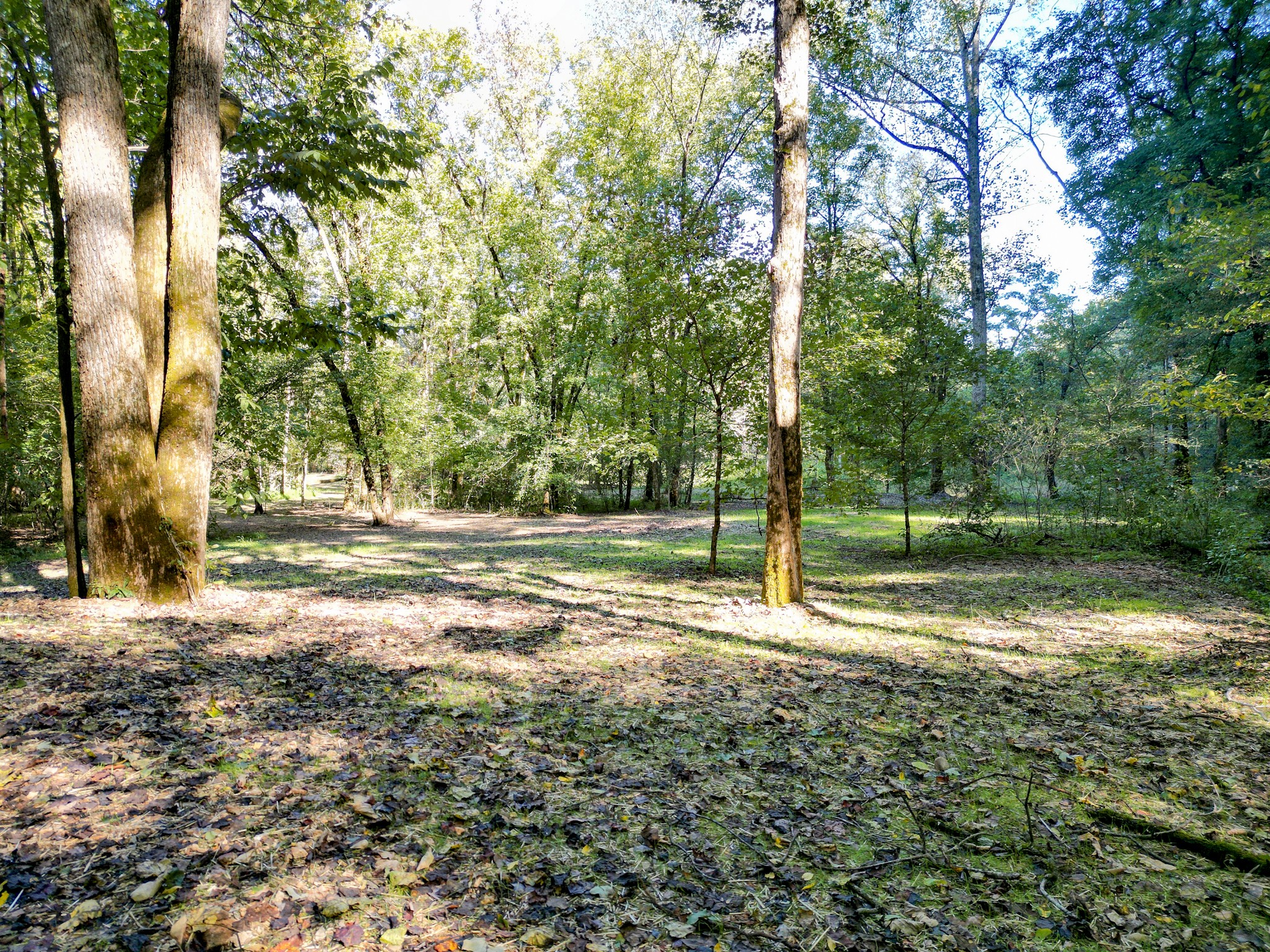 1495 Trace Creek Road Hohenwald, TN 38462 - Photo 24 of 28