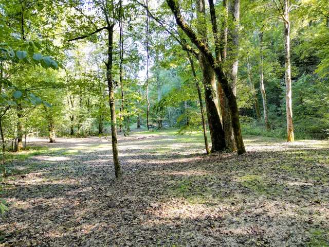 $1,100,000 | 1495 Trace Creek Road, Hohenwald, TN 38462