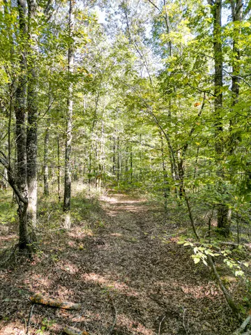 $1,100,000 | 1495 Trace Creek Road, Hohenwald, TN 38462
