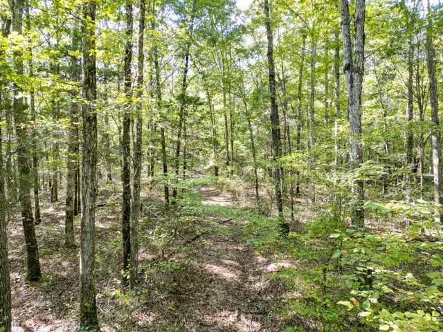 $1,100,000 | 1495 Trace Creek Road, Hohenwald, TN 38462
