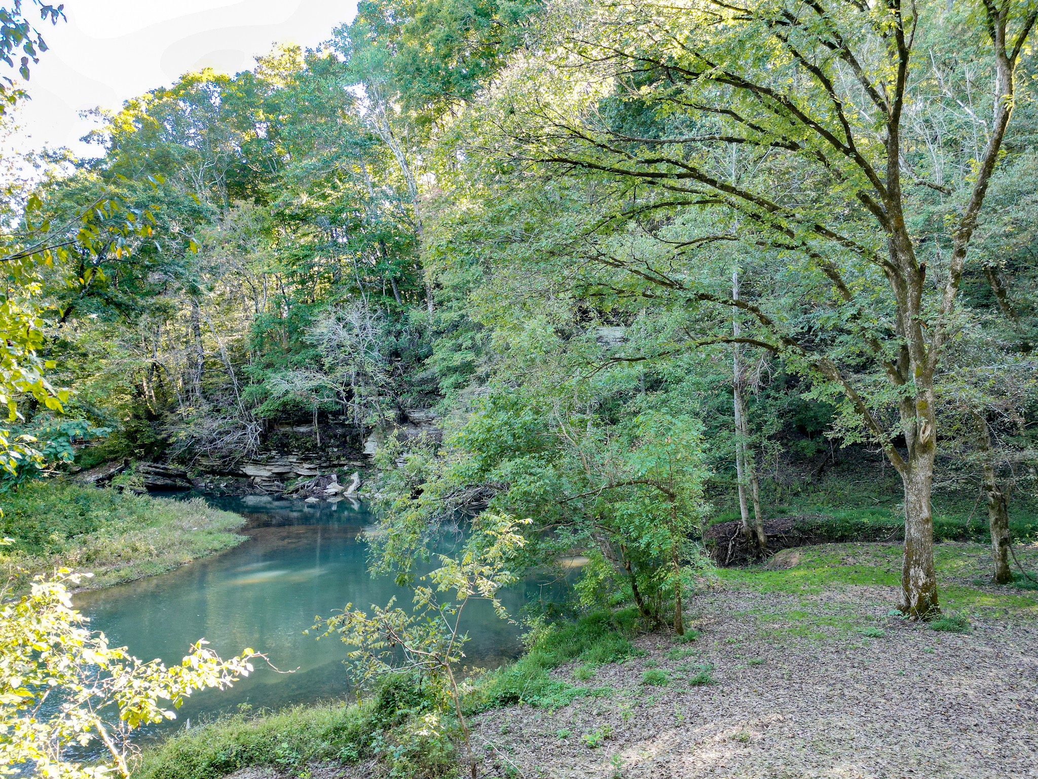 1495 Trace Creek Road Hohenwald, TN 38462 - Photo 6 of 28