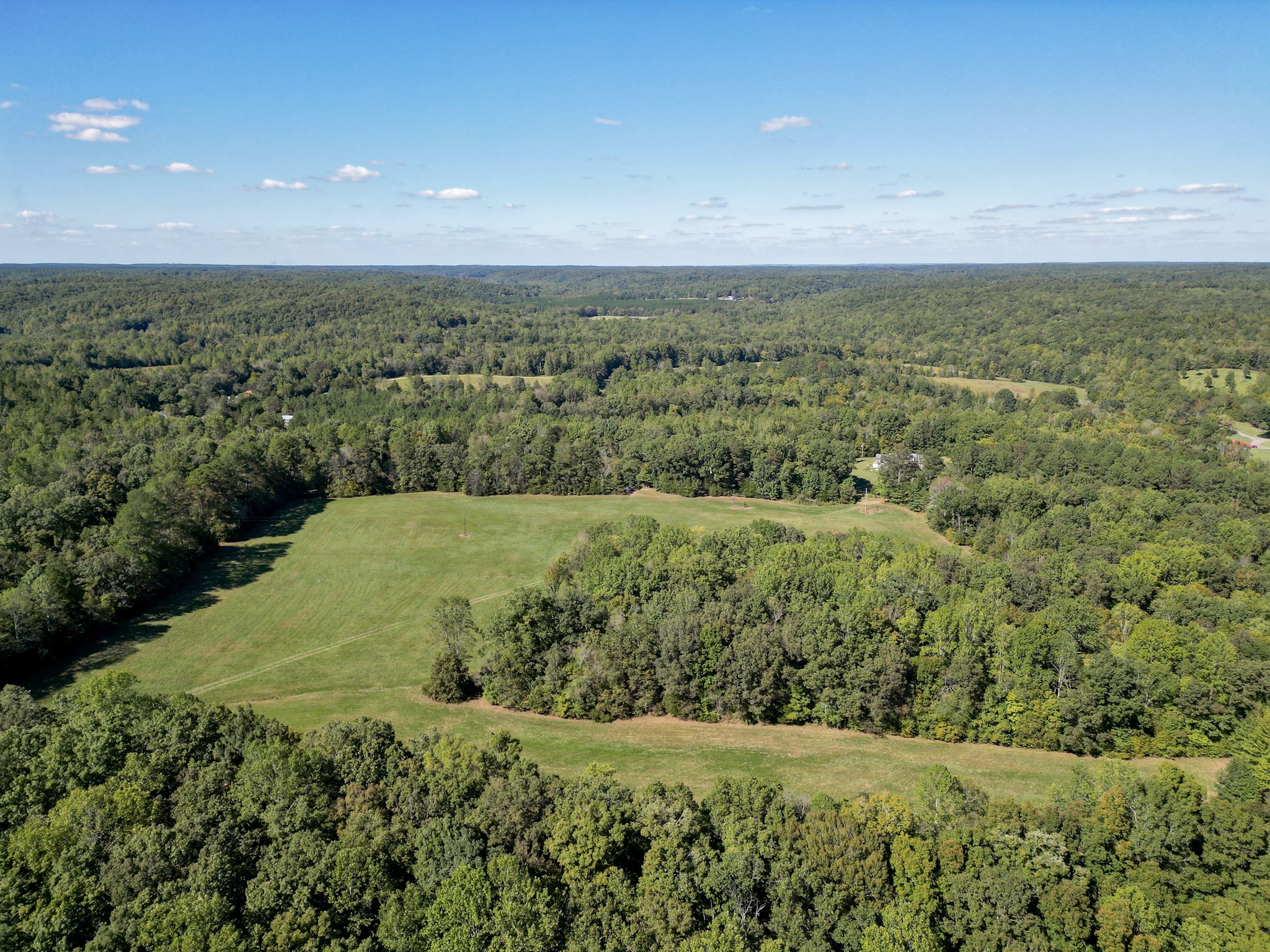 1495 Trace Creek Road Hohenwald, TN 38462 - Photo 7 of 28