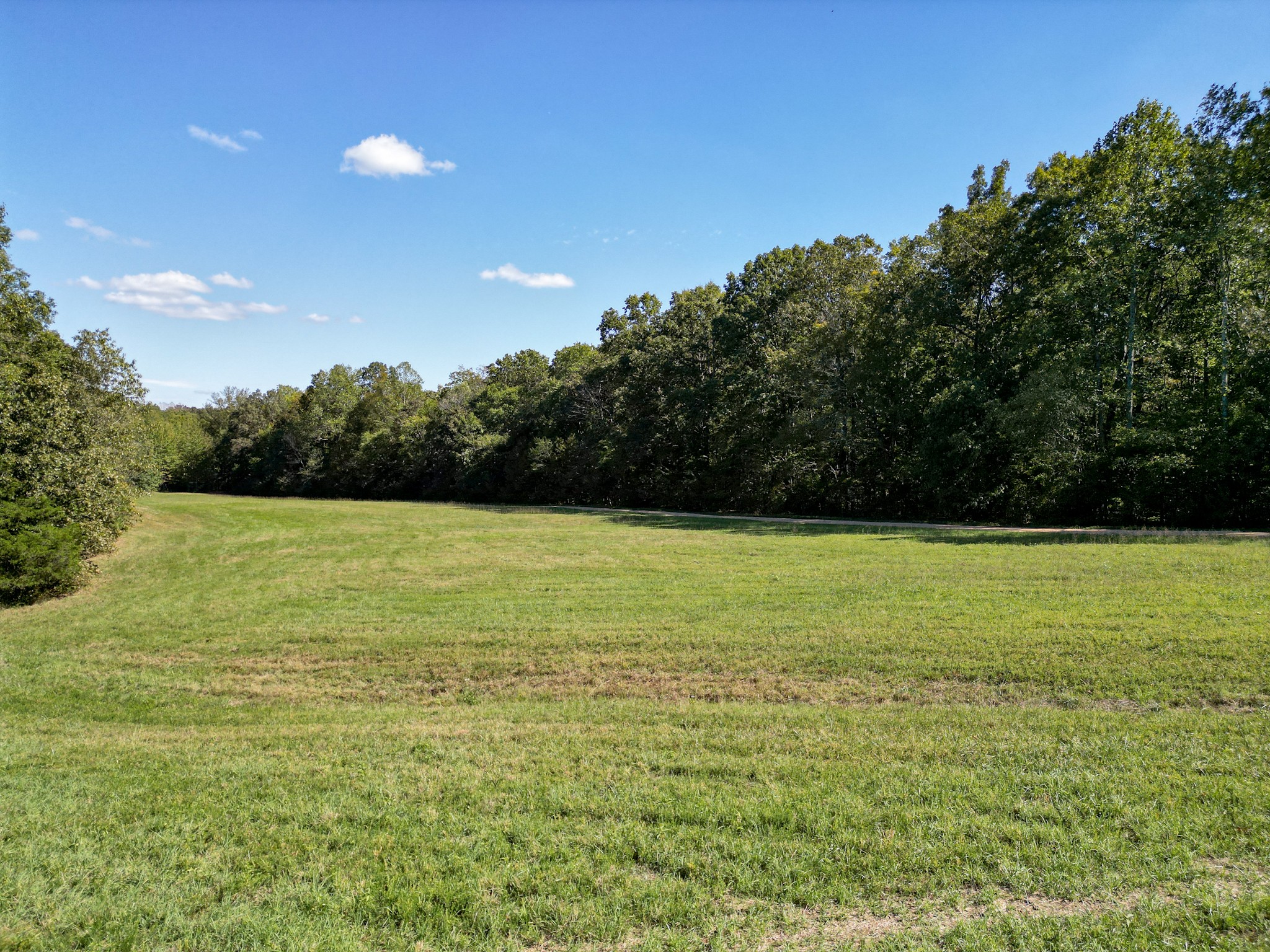 1495 Trace Creek Road Hohenwald, TN 38462 - Photo 10 of 28