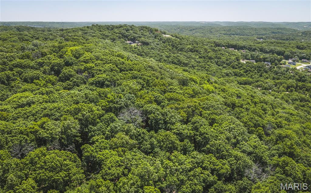 3000 Byrnes Mill Road High Ridge, MO 63049 - Photo 9 of 19